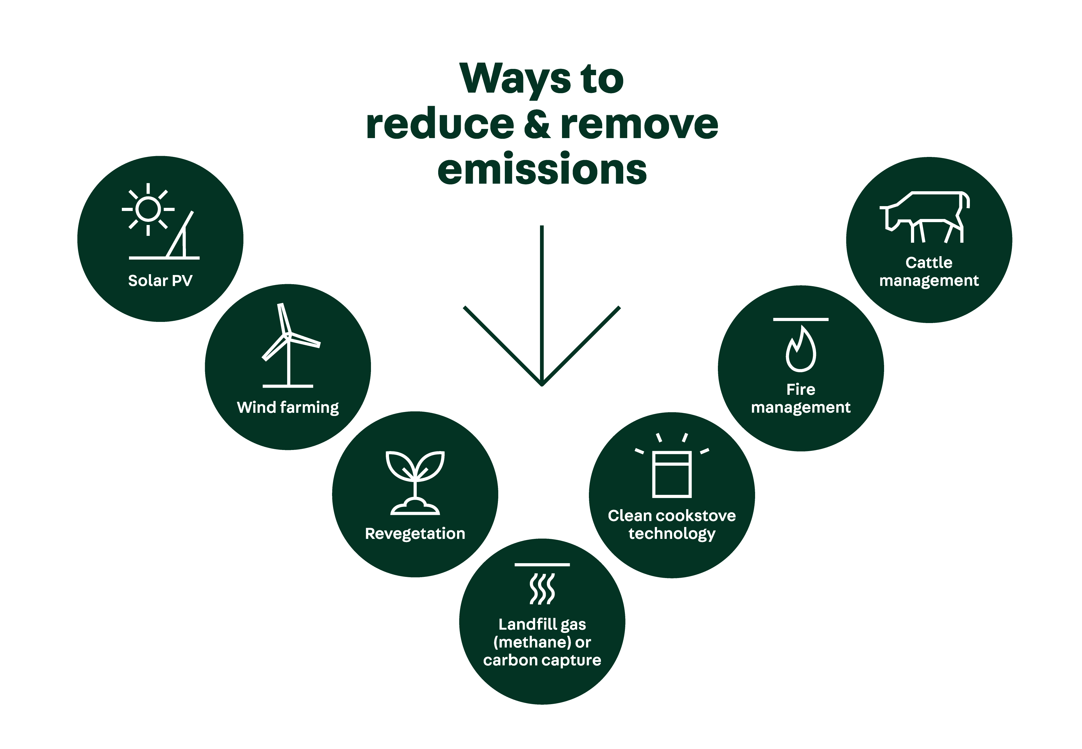 Carbon offsets Climate Active