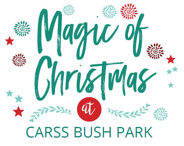 Georges River Council Magic of Christmas 2019