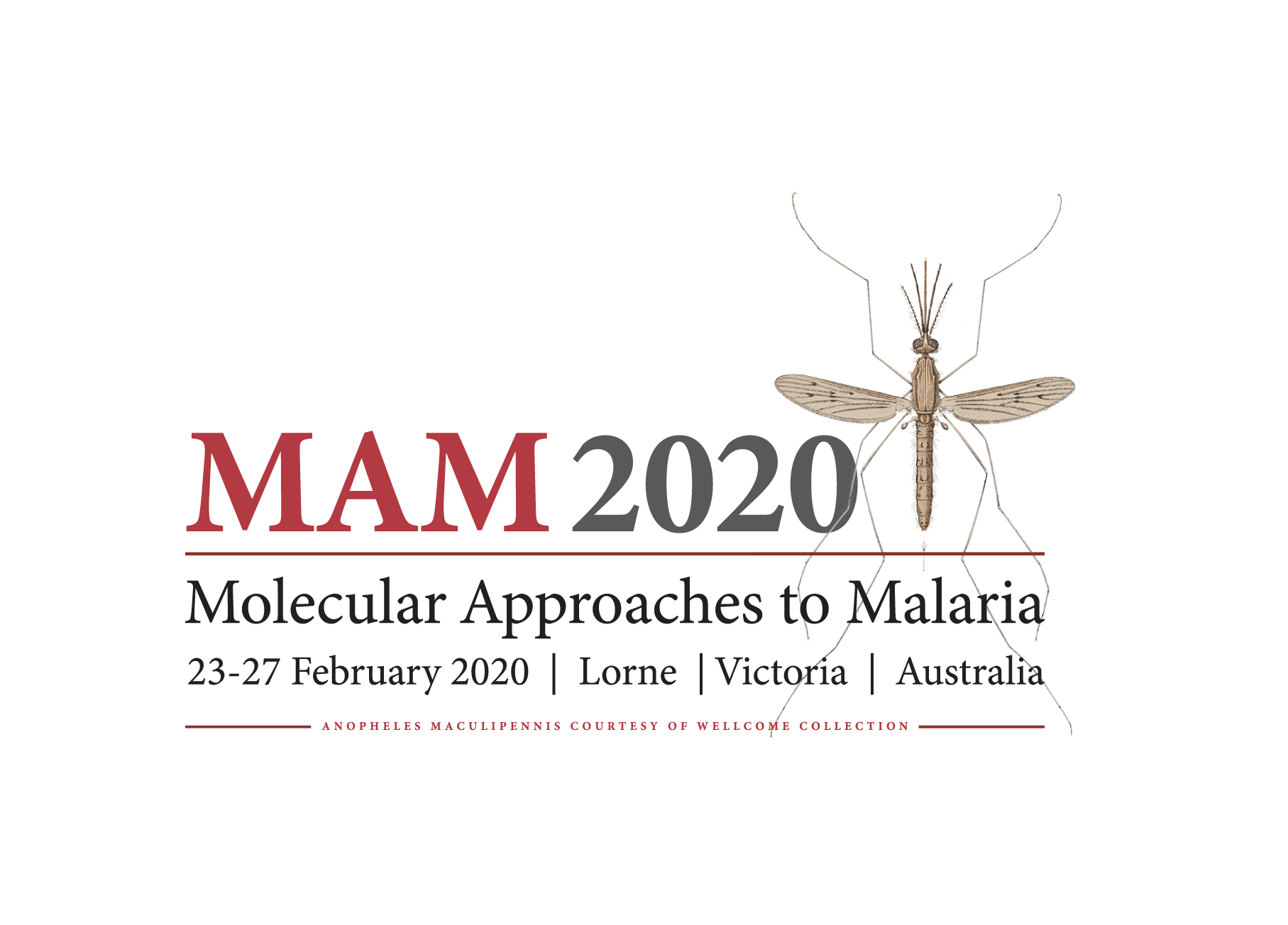 Molecular Approaches to Malaria Conference 2020