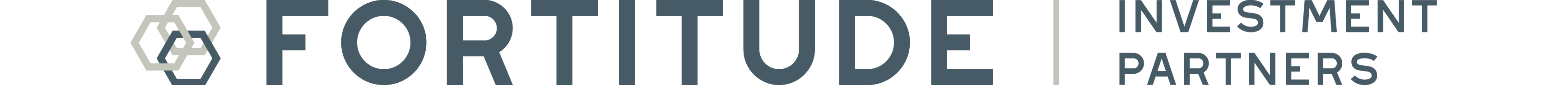 Fortitude Investment Partners