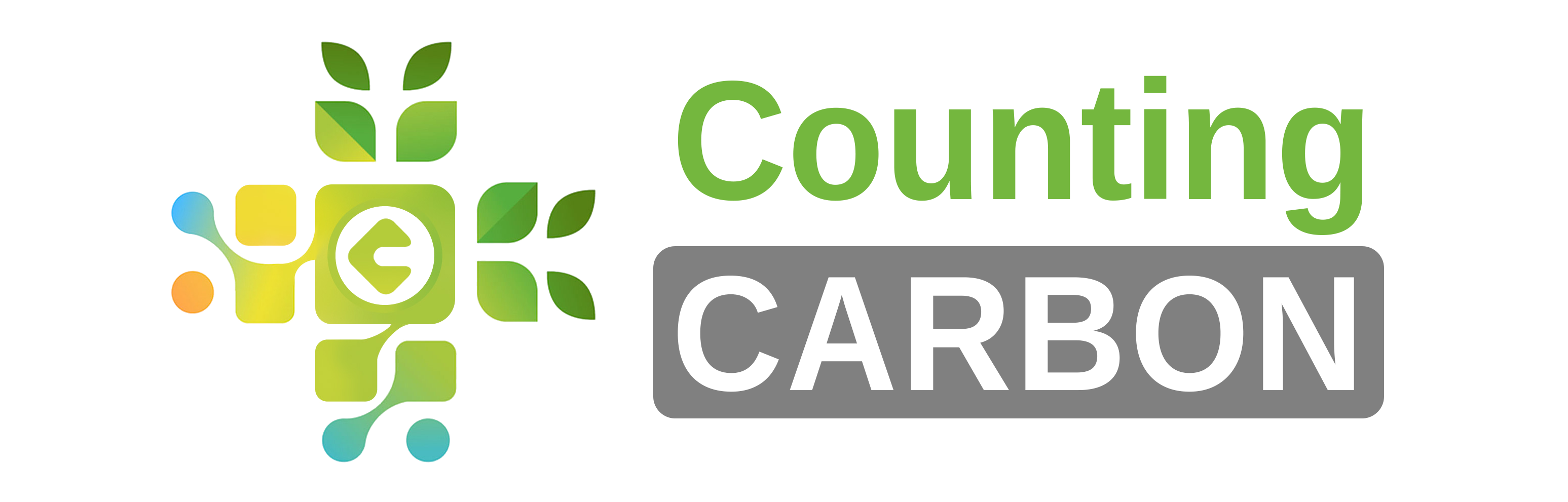 Counting Carbon