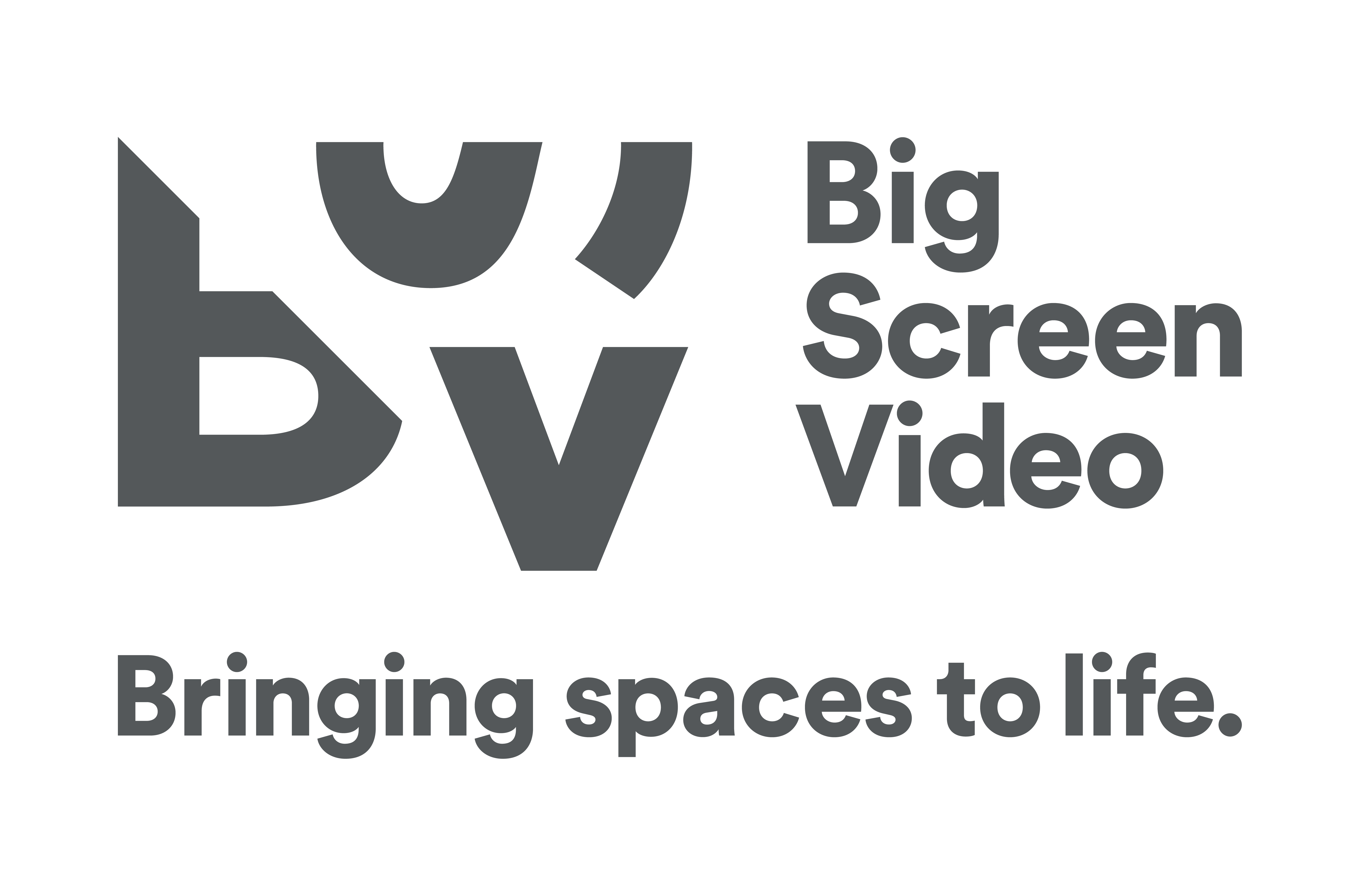 Big Screen Video
