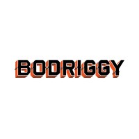 Bodriggy Brewing Company