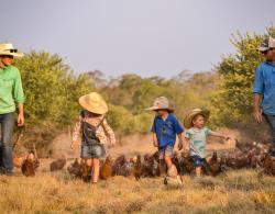 Yallamundi Farm_Header