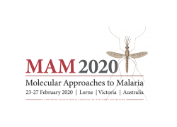 MAM 2020 logo