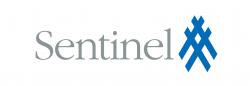 Element 27 Logo