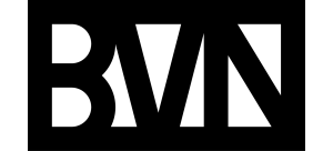 BVN Architecture Logo